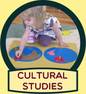 Cultural Studies